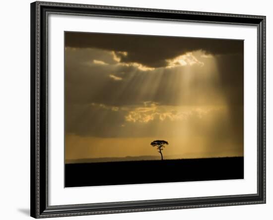 Mystical Sunset on Camp in the Maasai Mara, Kenya-Joe Restuccia III-Framed Photographic Print