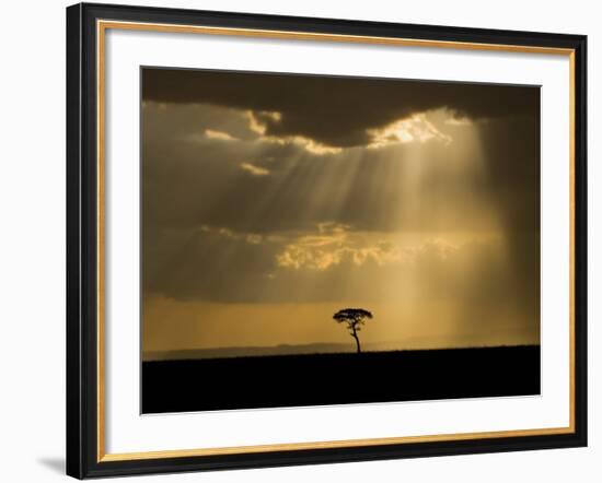 Mystical Sunset on Camp in the Maasai Mara, Kenya-Joe Restuccia III-Framed Photographic Print