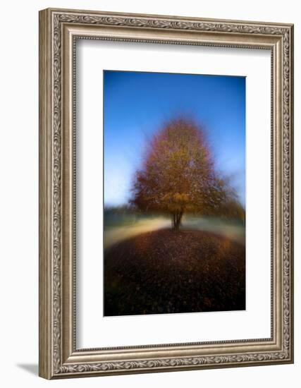 Mystical Tree-Milan Malovrh-Framed Photographic Print