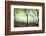 Myth-Viviane Fedieu Daniel-Framed Photographic Print