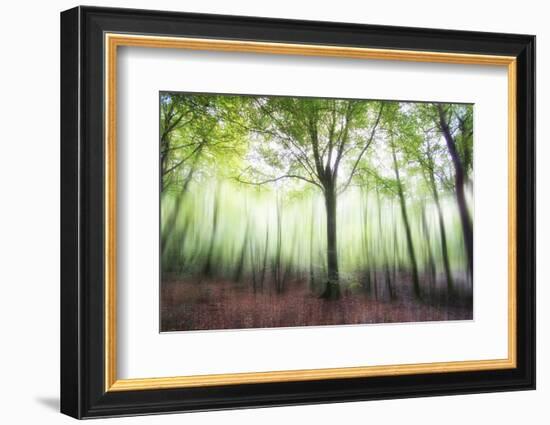 Myth-Viviane Fedieu Daniel-Framed Photographic Print