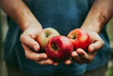 Farmer with Apples-mythja-Mounted Photographic Print