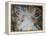 Mythological Scenes with Animals-Luca Giordano-Framed Premier Image Canvas