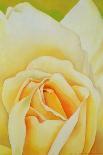 The Rose, 1999-Myung-Bo Sim-Framed Premier Image Canvas