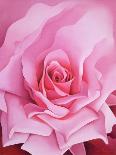 The Rose, 2002-Myung-Bo Sim-Framed Giclee Print