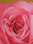 The Rose, 1999-Myung-Bo Sim-Framed Premier Image Canvas