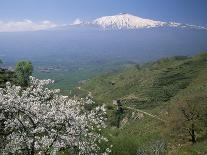 Mount Etna, Island of Sicily, Italy, Mediterranean-N A Callow-Photographic Print