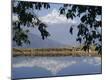 Premium Photographic Print