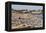 N'Gor Beach, Dakar Area, Senegal, West Africa, Africa-Bruno Morandi-Framed Premier Image Canvas