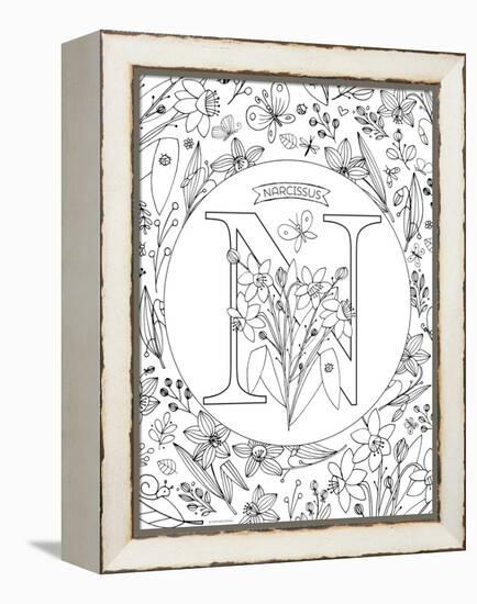 N is for Narcissus-Heather Rosas-Framed Stretched Canvas