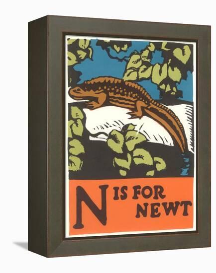 N is for Newt-null-Framed Stretched Canvas