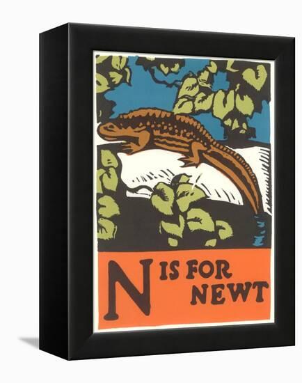 N is for Newt-null-Framed Stretched Canvas