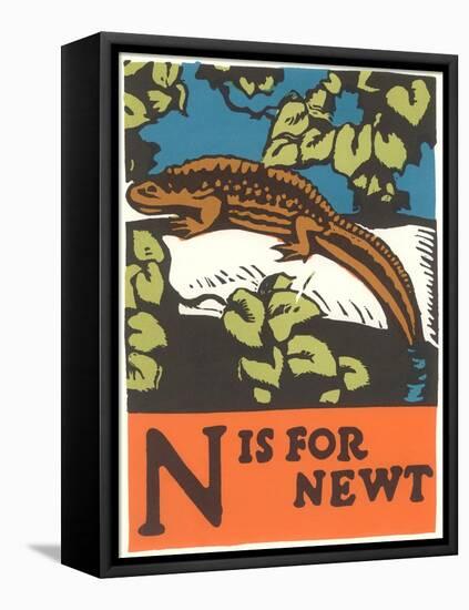 N is for Newt-null-Framed Stretched Canvas