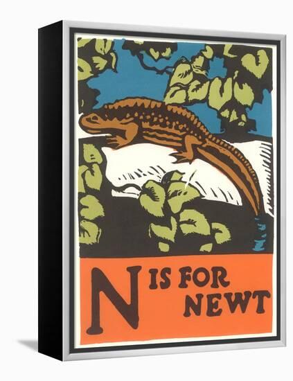 N is for Newt-null-Framed Stretched Canvas