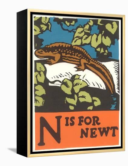 N is for Newt-null-Framed Stretched Canvas