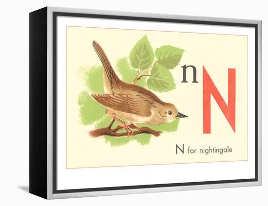 N is for Nightingale-null-Framed Stretched Canvas