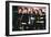 N'Sync-null-Framed Art Print