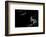 N/T-Paulo Medeiros-Framed Photographic Print