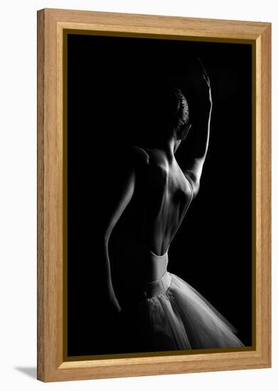 N/T-Paulo Medeiros-Framed Premier Image Canvas