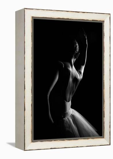 N/T-Paulo Medeiros-Framed Premier Image Canvas