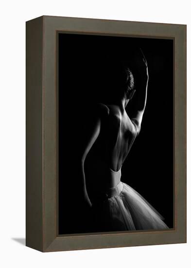 N/T-Paulo Medeiros-Framed Premier Image Canvas