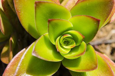 Na Aina Kai Botanical Gardens And Sculpture Park Kauai Hawaii