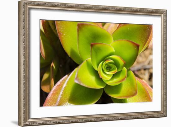 Na Aina Kai Botanical Gardens and Sculpture Park, Kauai, Hawaii-Michael DeFreitas-Framed Photographic Print