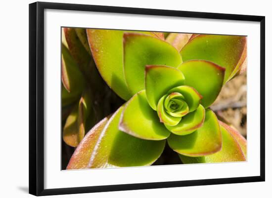 Na Aina Kai Botanical Gardens and Sculpture Park, Kauai, Hawaii-Michael DeFreitas-Framed Photographic Print