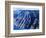 Na Pali Coast, Kauai, Hawaii, USA-Charles Sleicher-Framed Photographic Print