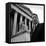 NAACP Chief Counsel Thurgood Marshall Standing on Steps of the Supreme Court Building-Hank Walker-Framed Premier Image Canvas