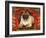 Nabokov's Pug, 2006-Frances Broomfield-Framed Giclee Print