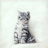 Cat Winks-Nadia Attura-Photographic Print