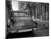Photographic Print