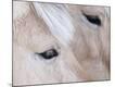 Premium Photographic Print