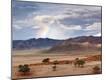 Photographic Print