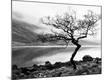 Premium Photographic Print