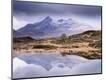 Photographic Print