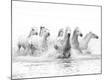 Premium Photographic Print