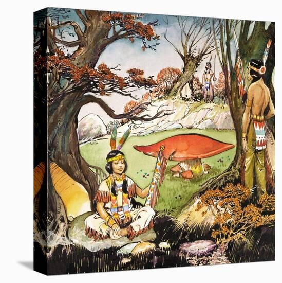 Stretched Canvas Print, , large