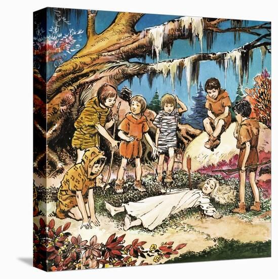 Stretched Canvas Print, , large