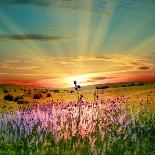Summer Landscape: Beauty Sunset over Sunflowers Field-nadiya_sergey-Framed Premier Image Canvas