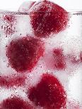 A Glass of Water with Raspberry Ice Cubes-Nadja Walger-Laminated Photographic Print