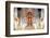 Naga Dragons on the Main Bot of the Temple of Wat Chedi Luang, Chiang Mai, Thailand-Alex Robinson-Framed Photographic Print