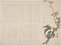 Plum and Camellia Branches, 1829-Nagayama K?choku-Framed Premier Image Canvas