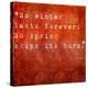 Stretched Canvas Print