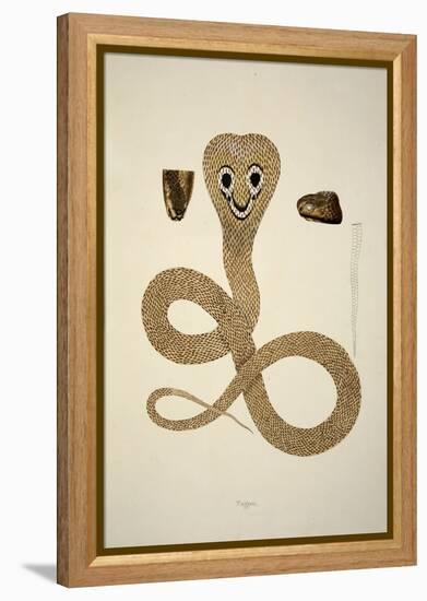 Nagoo, from an Account of Indian Serpents Collected on the Coast of Coromandel, Pub. 1796 (Hand Col-William Skelton-Framed Premier Image Canvas