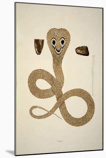 Nagoo, from an Account of Indian Serpents Collected on the Coast of Coromandel, Pub. 1796 (Hand Col-William Skelton-Mounted Giclee Print
