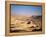 Nahal Zin, Negev Desert, Israel-Jon Arnold-Framed Premier Image Canvas