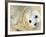 Nahia, a Five-Day-Old Grey Baby Seal, is Seen at the Biarritz Sea Museum-null-Framed Photographic Print