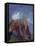 Naissance de Vénus-Odilon Redon-Framed Premier Image Canvas